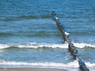 Apartment Boltenhagen  21