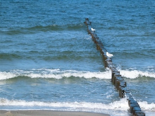 Apartment Boltenhagen  27