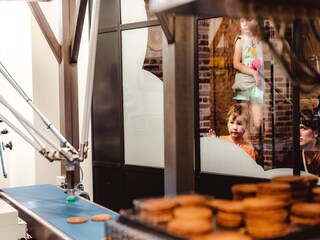 Vakantiepark Hellevoetsluis Omgeving 17