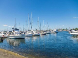 Vakantiepark Hellevoetsluis Omgeving 11