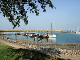 Vakantiepark Kamperland Omgeving 14