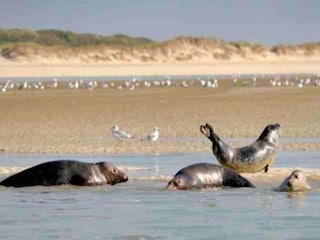 Vakantiepark Quend Omgeving 24