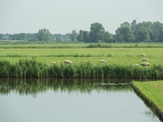 Parque de vacaciones Oost-Graftdijk Entorno 17