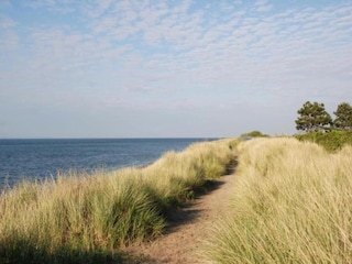 Vakantiepark Kamperland Omgeving 25