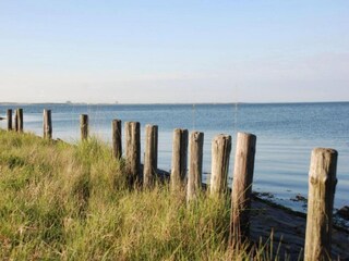 Vakantiepark Kamperland Omgeving 24
