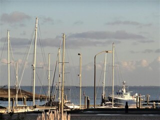 Parc de vacances Kamperland Environnement 38