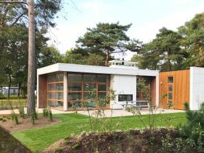 Holiday park Modern chalet with a nice fireplace, on the Veluwe - Hoenderloo - image1