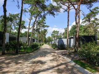 Holiday park Hoenderloo Environment 23