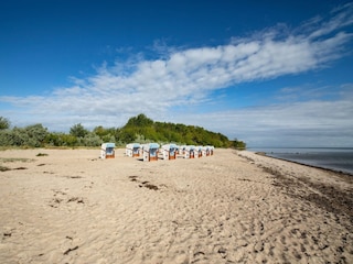 Appartement Hohen Wieschendorf Environnement 20