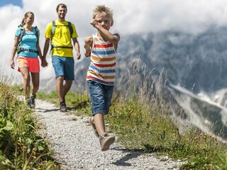 Appartamento Dienten Ambiente 24