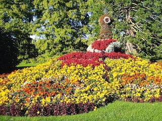 Ferienpark Bad Dürrheim Außenaufnahme 4