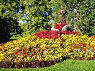 Parco vacanze Bad Dürrheim Registrazione all'aperto 9