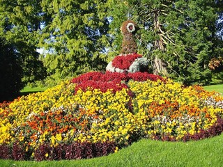Parc de vacances Bad Dürrheim Enregistrement extérieur 5