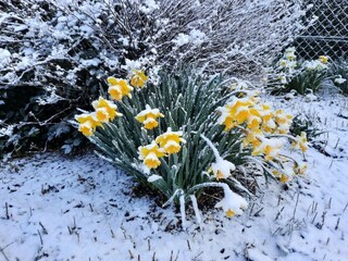 Casa de vacaciones Humptrup  23