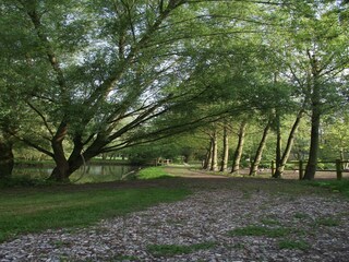 Parque de vacaciones Quend Grabación al aire libre 3