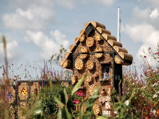 Ferienpark Oostvoorne  15
