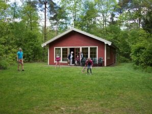 Ferienpark Gemütliches Chalet mit einem dekorativen Kamin - Ruinen - image1