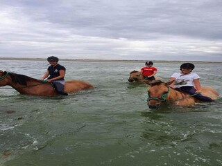 Parc de vacances Quend Environnement 18