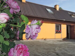 Ferienpark Pobierowo Außenaufnahme 3