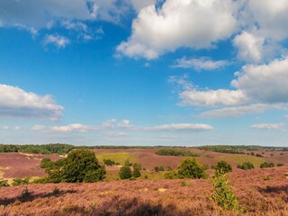 Vakantiepark Lanaken Omgeving 20