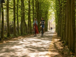 Vakantiepark Lanaken Omgeving 21