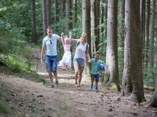 Holiday park Kronenburg  18