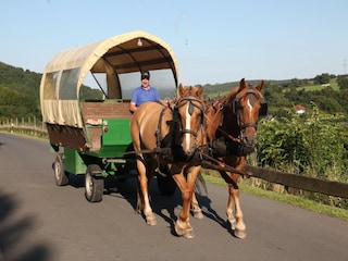 Ferienpark Kronenburg  21