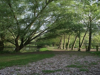 Vakantiepark Quend Buitenaudio-opname 3