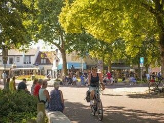 Vakantiepark Veere Omgeving 33
