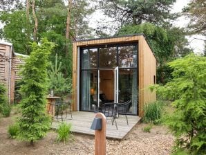 Holiday park Nice tiny house with pellet stove, on the Veluwe - Hoenderloo - image1