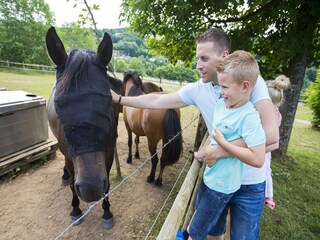 Vakantiepark Kronenburg  18