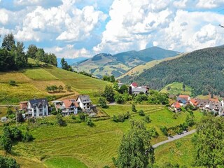 Ferienpark Häg-Ehrsberg Umgebung 16