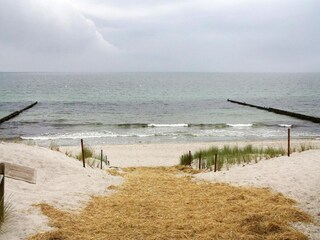 Appartement Markgrafenheide Environnement 15