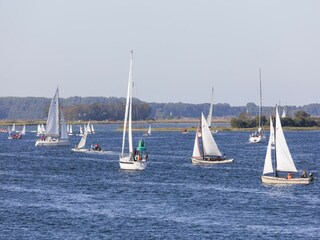 Vakantiepark Veere Omgeving 14