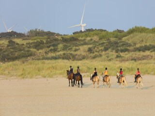 Parc de vacances Veere Environnement 21