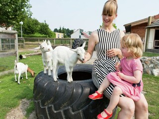 Ferienpark Arcen  22