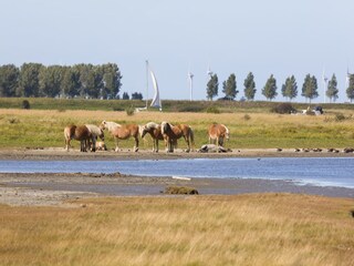 Parc de vacances Veere Environnement 10