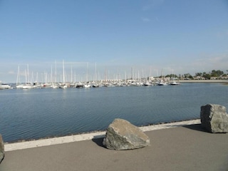 Ferienpark Veere Umgebung 24