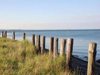 Vakantiepark Veere Omgeving 31