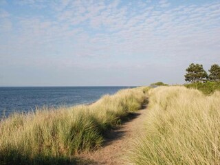 Vakantiepark Veere Omgeving 32