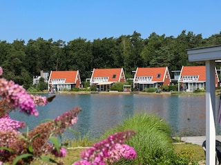 Holiday park Hoenderloo Environment 21