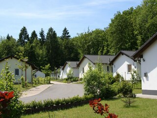 Parque de vacaciones Gerolstein Entorno 15
