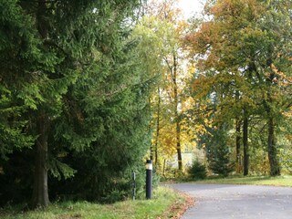 Vakantiepark Gerolstein Omgeving 34