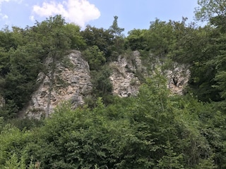 Vakantiepark Gerolstein Omgeving 29