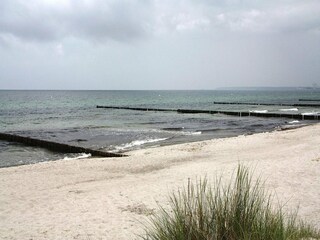 Maison de vacances Markgrafenheide Environnement 11