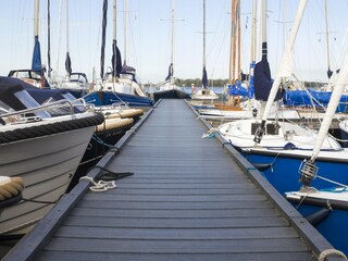Vakantiepark Veere Omgeving 19