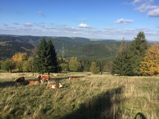 unsere herrliche Landschaft