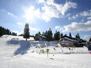 Parc de vacances Feldberg Environnement 20