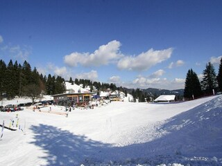 Ferienpark Brandenberg (Schwarzwald) Umgebung 21
