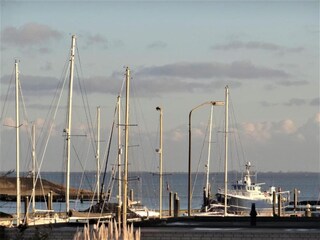 Vakantiepark Kamperland Omgeving 15